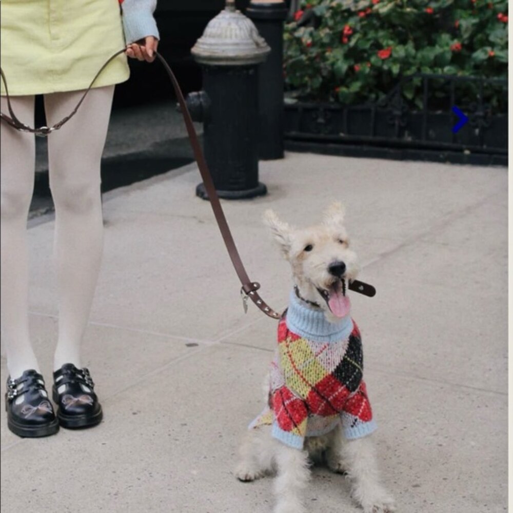 (NWT) Little Beast x Lisa Says Gah - Dog Sweater - Cirque Argyle (L) - Picture 3 of 9